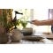 Make your kitchen more feng shui in 8 simple steps