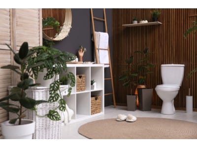 Traditional bathroom ideas